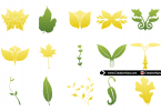 vector-leaves-for-logo-design