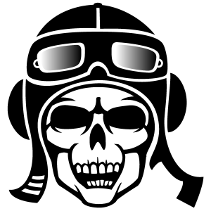 Pilot Skull Vector