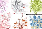 beautiful-flowers-for-your-designs