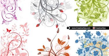 beautiful-flowers-for-your-designs