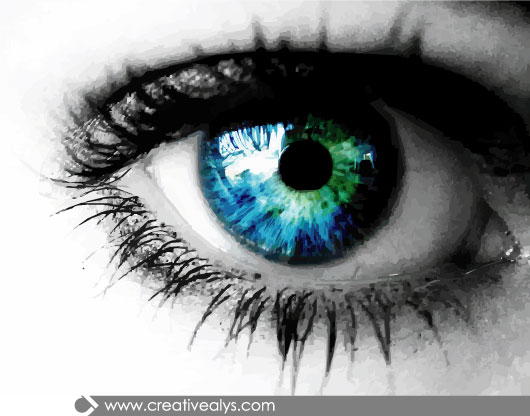 Realistic-Vector-Eye