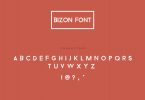 bizon_font_preview