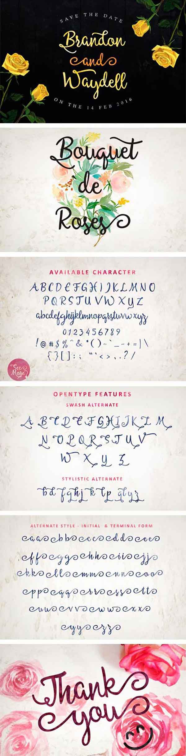 allessa-script-font-details