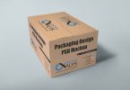 carton-packaging-design-psd-mockup