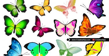 Vector-Butterfly-Collection
